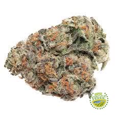 Bubble Gum