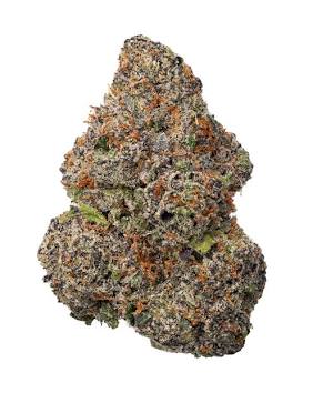 Dosi-Gelato