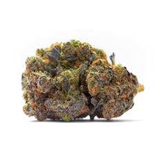 Gator Breath