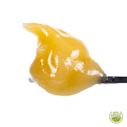 Georgia Z Live Resin Badder
