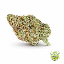 Guava