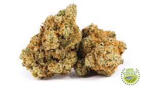 Jack Herer