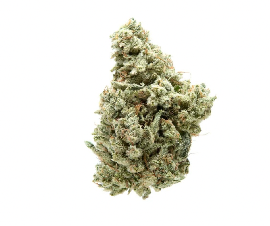 Original Glue