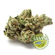Super Fresh OG